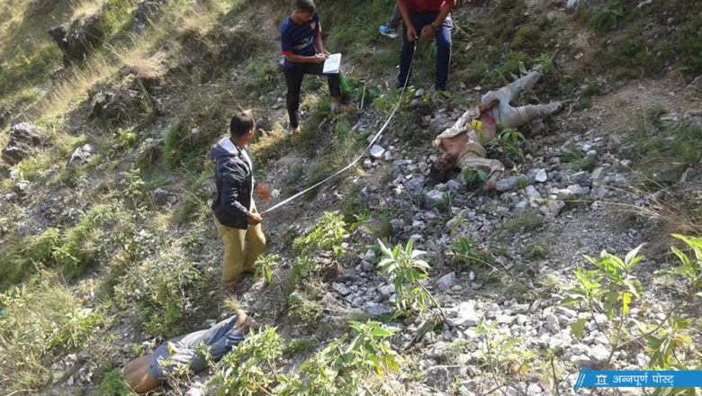 गुल्मीबाट तिहार मनाउन दिदिघर हिंडेका एक पुरुषको भिरबाट लडेर मृत्यु