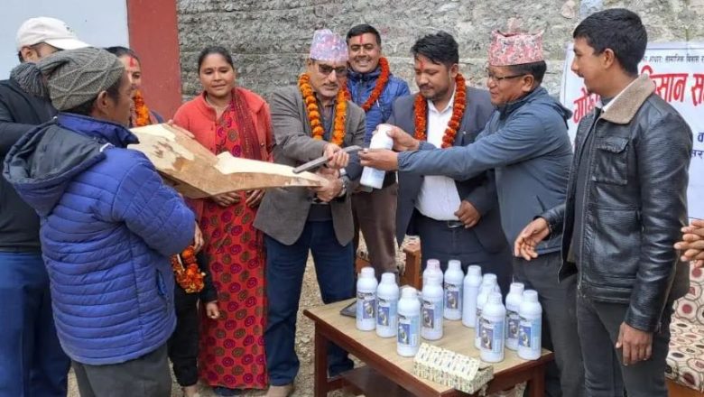 गुल्मीमा मुसिकोटमा गोरु पाल्ने किसानलाई हलो उपहार !