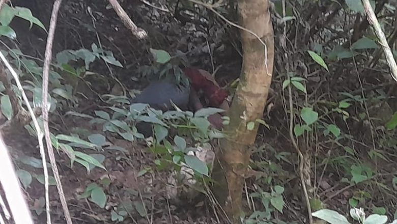 गुल्मीमा केही दिन देखि हराइरहेका बालक जंगलमा मृत फेला